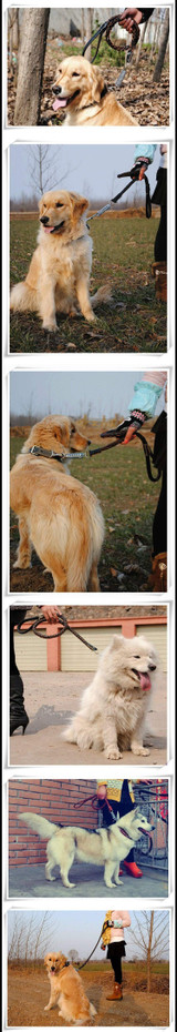 High Quality Genuine Leather Large Dog Leashes