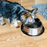 Stainless Steel Water Food Dog Feeding Drinking Bowl