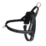 Big Dog Collars Harnesses Summer Comfortable