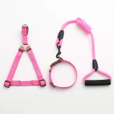 Dog Collar Set For Small Puppy Pet