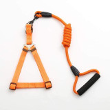 Dog Collar Set For Small Puppy Pet