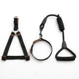 Dog Collar Set For Small Puppy Pet