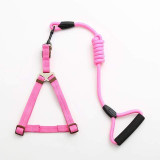 Dog Collar Set For Small Puppy Pet