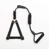 Dog Collar Set For Small Puppy Pet