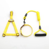 Dog Collar Set For Small Puppy Pet
