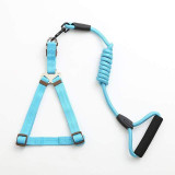 Dog Collar Set For Small Puppy Pet
