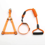 Dog Collar Set For Small Puppy Pet