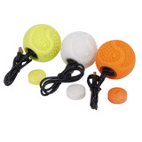 Dog Toy Interactive Rubber Balls