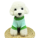 Happy Halloween Pet T Shirts
