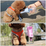 Dog Drinking Water Bottle