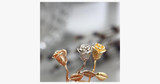 Exquisite Tricolor Rose Flower Pendant
