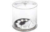 The Most Impressive Portable and Inflatable Solar LED Light