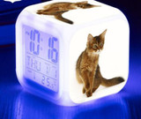 LED Cat Alarm Clock