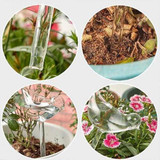Self-Watering Plant Glass Bulbs (2Pcs)