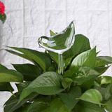 Self-Watering Plant Glass Bulbs (2Pcs)