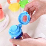 Fresh food nibbler baby pacifiers feeder