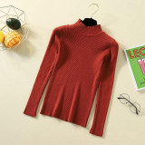 Knitted Jumper Turtleneck Pullovers Casual Sweaters