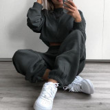 Baggy Pencil Pants Women Plus Size Black Winter Wide Leg Sweat Pants