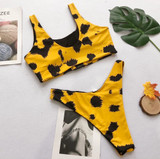 “Deep Dive” leopard cutout 2 piece swimsuit