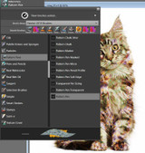 Best Cat Painting Brushes & Tutorials 2019