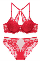 Free Shipping Burgundy Lace Lingerie Set