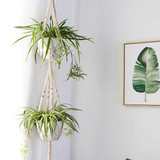 Set of Macrame Hangers