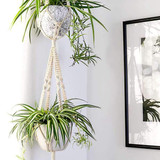 Set of Macrame Hangers