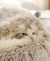 New Style Pet Dog Cat Bed Round Plush Cat Warm Bed House Soft Long Plush Bed For Small Dogs For Cats Nest 2 In 1 Cat Bed