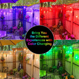 Leadleds Vintage Seasons LED Warm White RGBW Color Changing Outdoor String Lights, 48ft