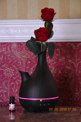 Flower POWER Vase Essential Oil Aromatherapy Diffuser