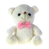 Valentine's Teddy Bear