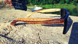 Zebrawood Sunglasses, Stars and Bars, Polarized