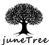 Junetree Wood Needle Case Sew Case