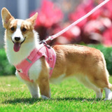 Corduroy Dog Harness & Leash Set, Brown, Pink, XS-XL
