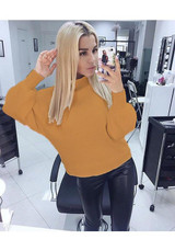 Yellow Plain High Neck Casual Pullover Sweater
