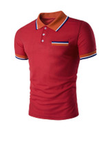 Casual Simple Polo Collar Contrast Striped Trim T-Shirt