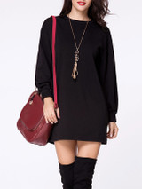 Casual Crew Neck Plain Long Sleeve Shift Dress