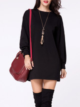 Casual Crew Neck Plain Long Sleeve Shift Dress