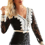Casual Black Patchwork Lace Plunging Neckline Long Sleeve Mini Dress