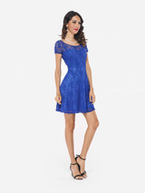 Casual Lace Patchwork Plain Charming Elegant Round Neck Skater Dress