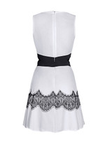 Casual Cutout Decorative Lace Round Neck Skater Dress
