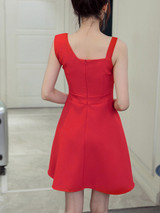 Casual Asymmetric Neck Solid Skater Dress