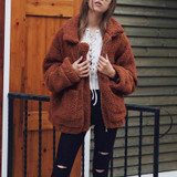 Elegant Faux Fur Coat Women Autumn Winter Warm Soft Zipper Fur Jacket Female Plush Overcoat Pocket Casual Teddy Outwear