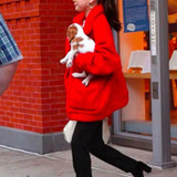 Elegant Faux Fur Coat Women Autumn Winter Warm Soft Zipper Fur Jacket Female Plush Overcoat Pocket Casual Teddy Outwear