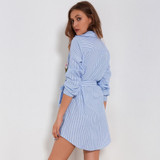 Embroidery Dresses For Women Autumn Striped Long Sleeve Casual Dress Ladies Chiffon Floral Shirt Dresses