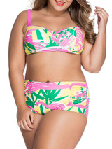 Casual Nifty Color Block Printed Plus Size Bikini
