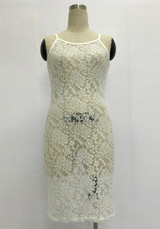 Casual White Plain Lace Spaghetti Strap See-Through Mini Dress