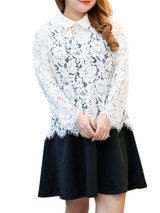 Casual Plus Size Doll Collar Lace Hollow Out Blouse And Skater Dress