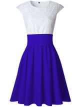 Casual Decorative Lace Color Block Round Neck Bowknot Skater Dress