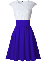 Casual Decorative Lace Color Block Round Neck Bowknot Skater Dress
